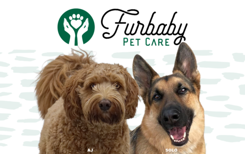 Logo for Furbaby Pet Care