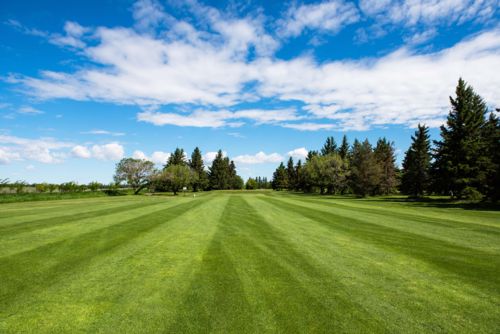 4 Rounds Of Golf With Cart at Fort in View Golf Course