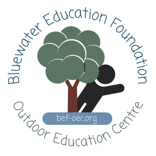 Logo for Bluewater Education Foundation