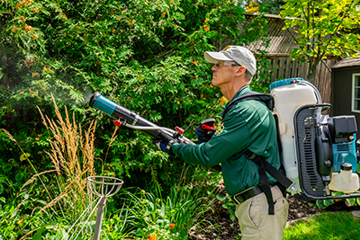 Image for Goodbye Mosquitos $250 Gift Certificate