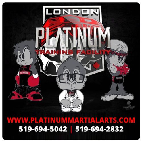 Image for $500 Gift Certificate for Platinum Martial Arts