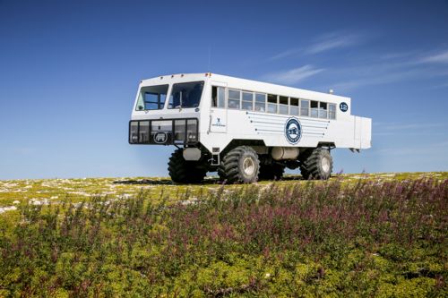 Image for Summer Tundra Buggy® Adventure for 2 at Churchill, MB