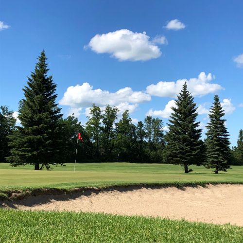 Image for GOLF FOR 4 PACKAGE - 9 HOLES